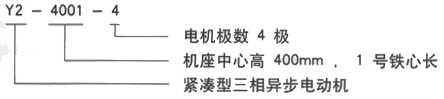 YR系列(H355-1000)高压ZSN4-225-21三相异步电机西安西玛电机型号说明